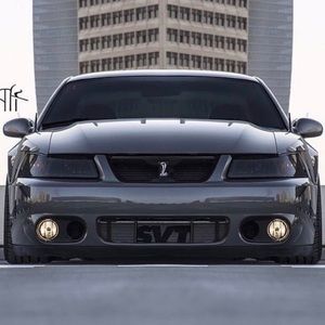 Meet your Posher, Roberto